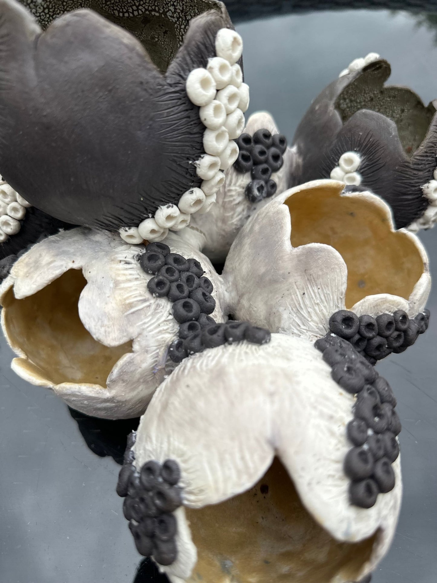 Voices of the deep - Caimo Ceramics