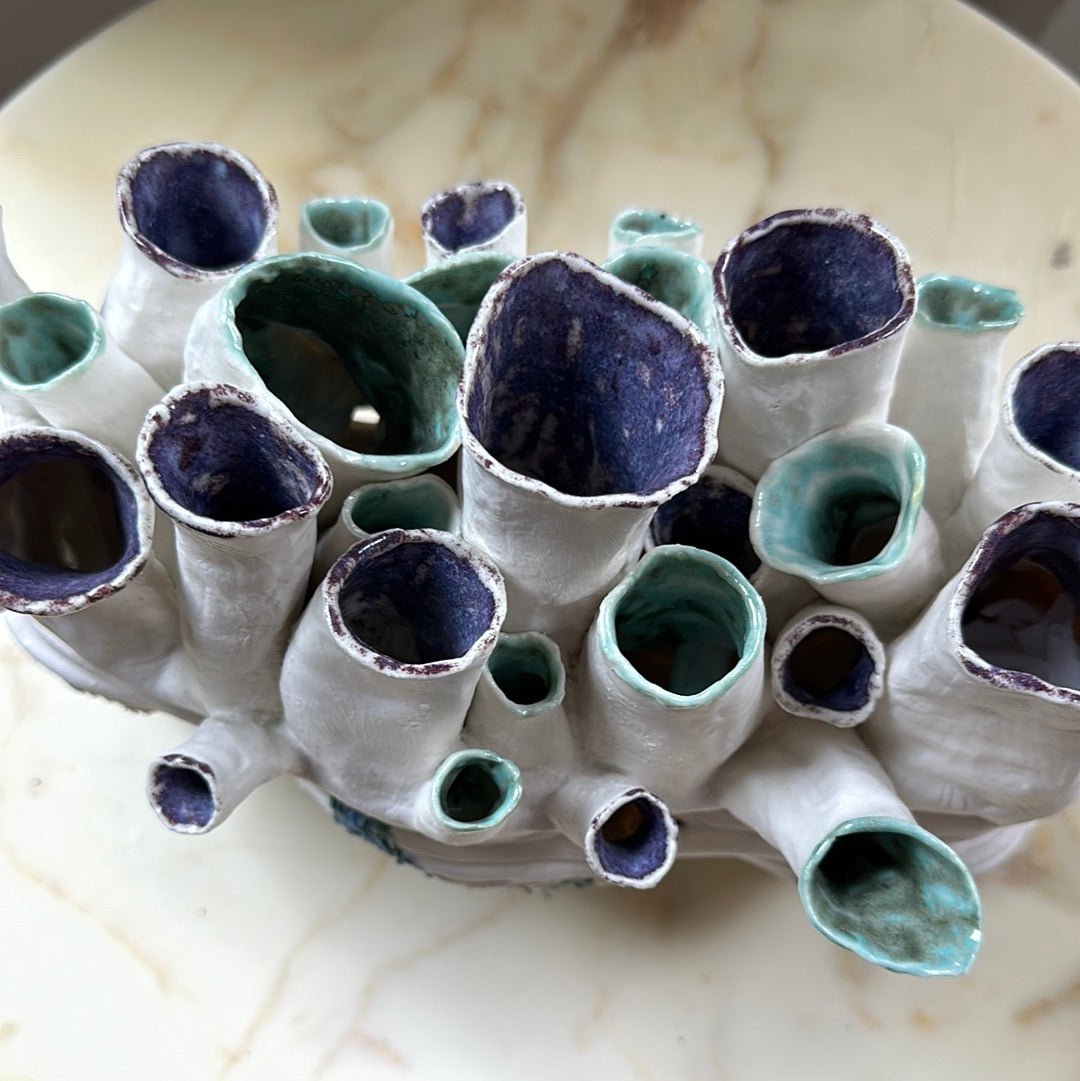 Art from the sea - Caimo Ceramics