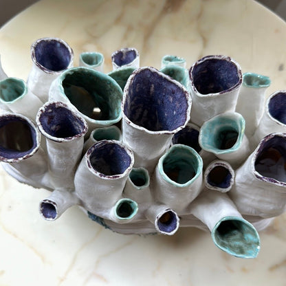 Art from the sea - Caimo Ceramics