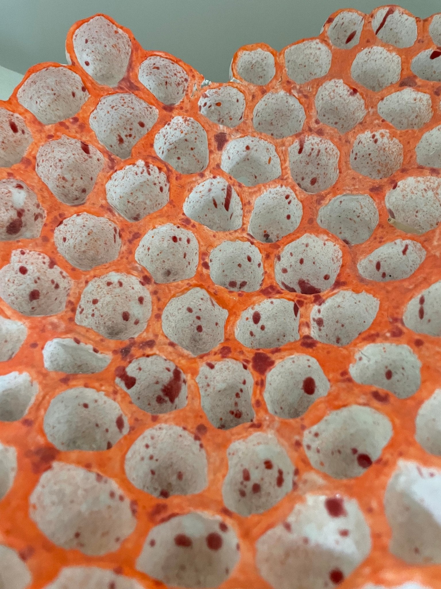 Egg cup dish - Caimo Ceramics