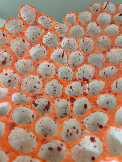 Egg cup dish - Caimo Ceramics