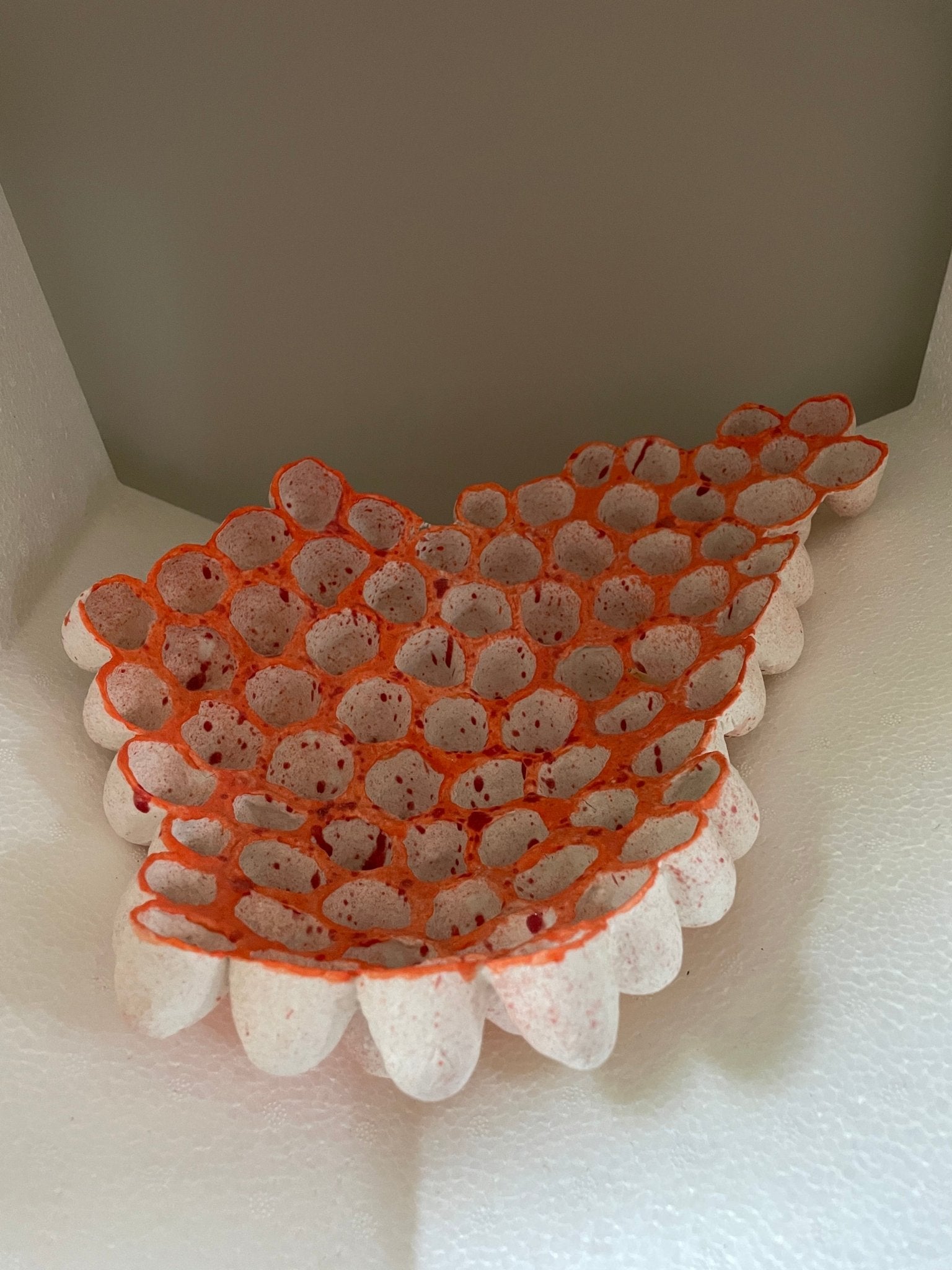 Egg cup dish - Caimo Ceramics