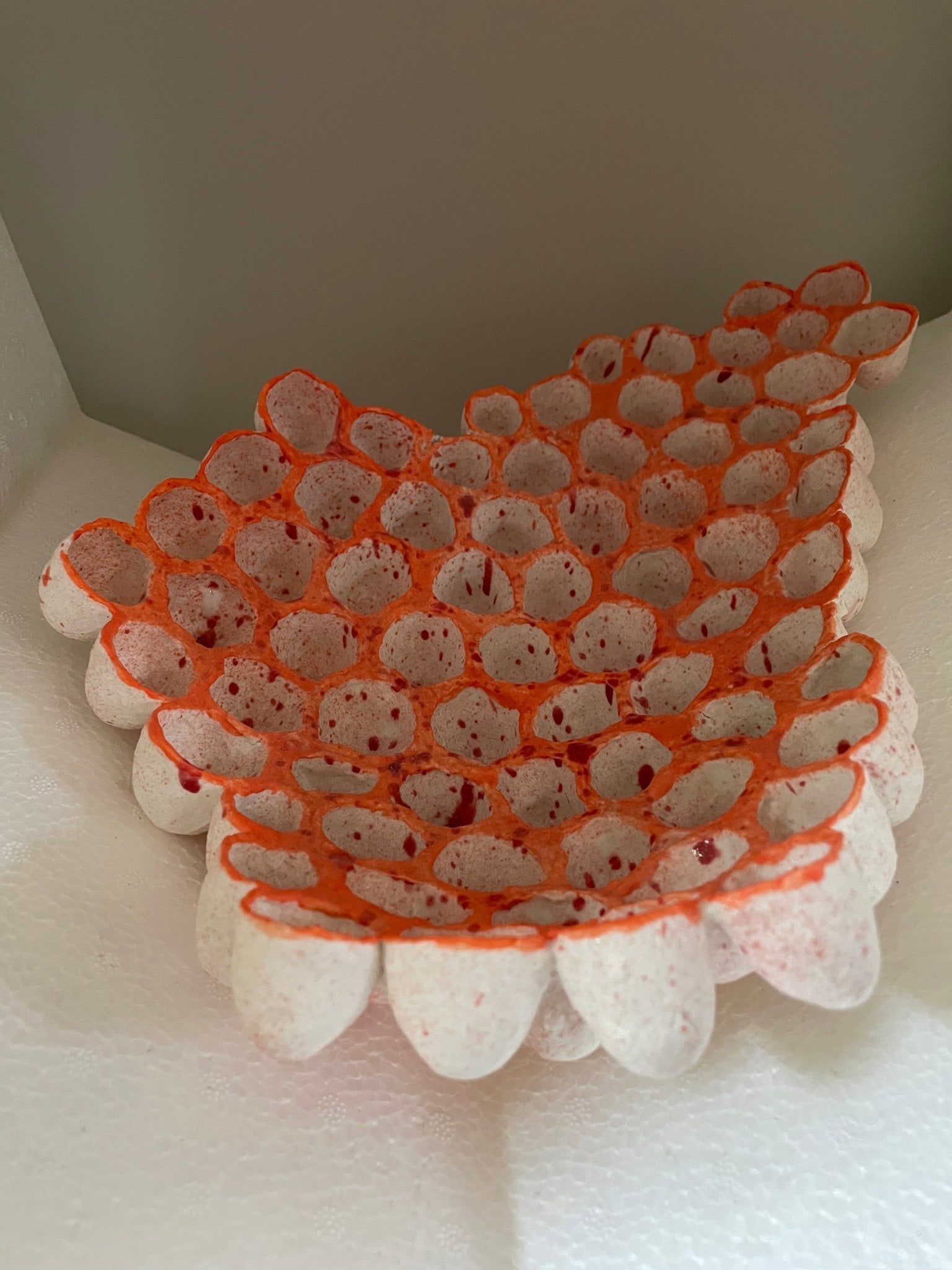 Egg cup dish - Caimo Ceramics