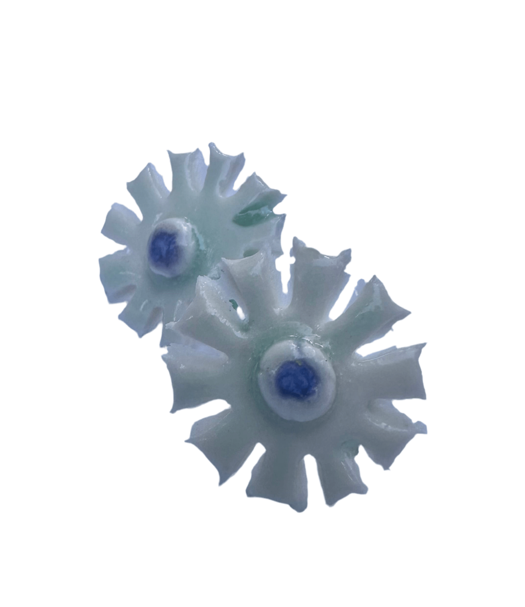Sun flower - Caimo Ceramics