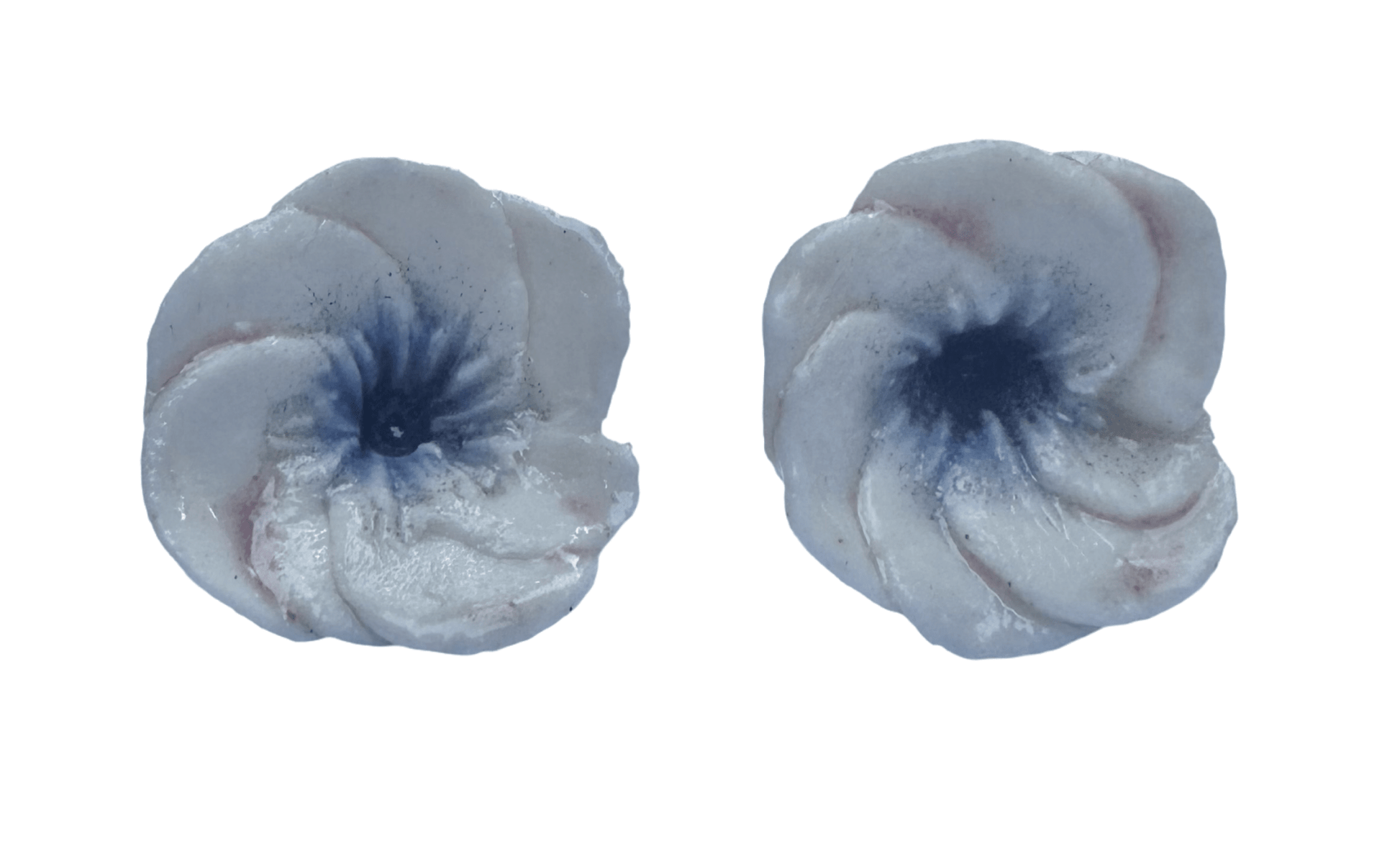 The heart is blue - Caimo Ceramics