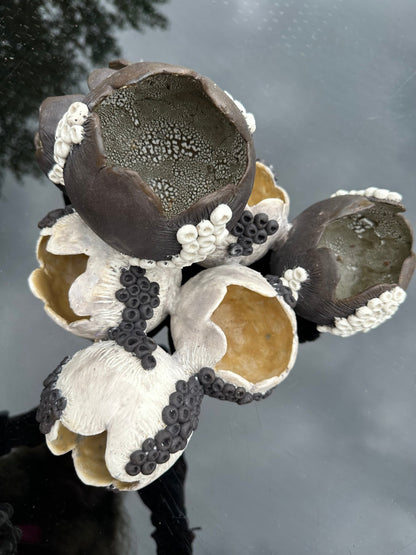Voices of the deep - Caimo Ceramics