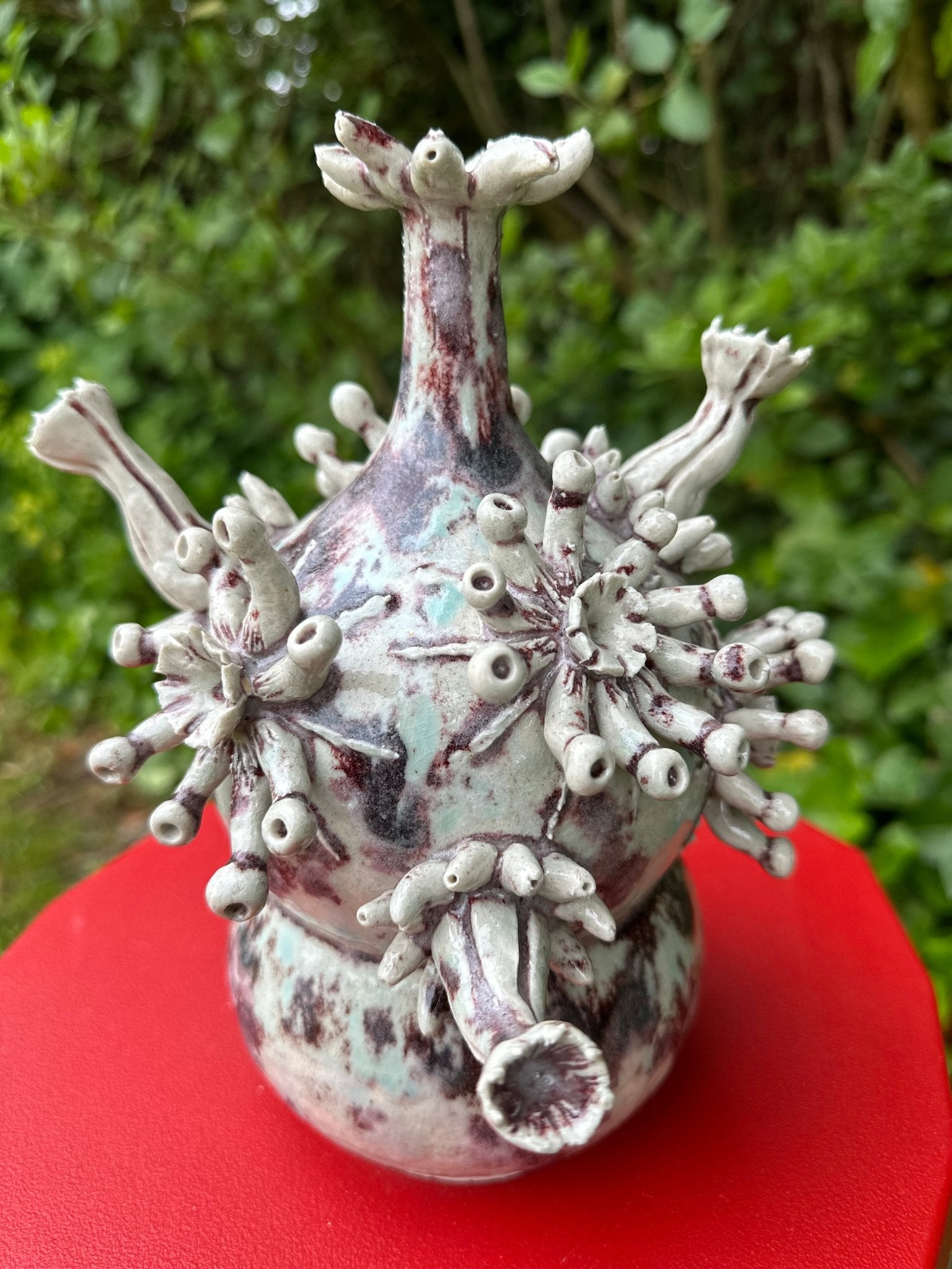 Where life started - Caimo Ceramics