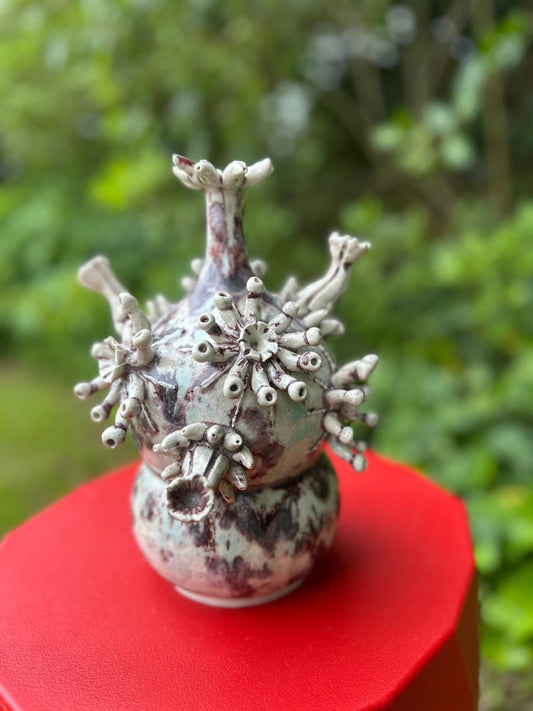 Where life started - Caimo Ceramics